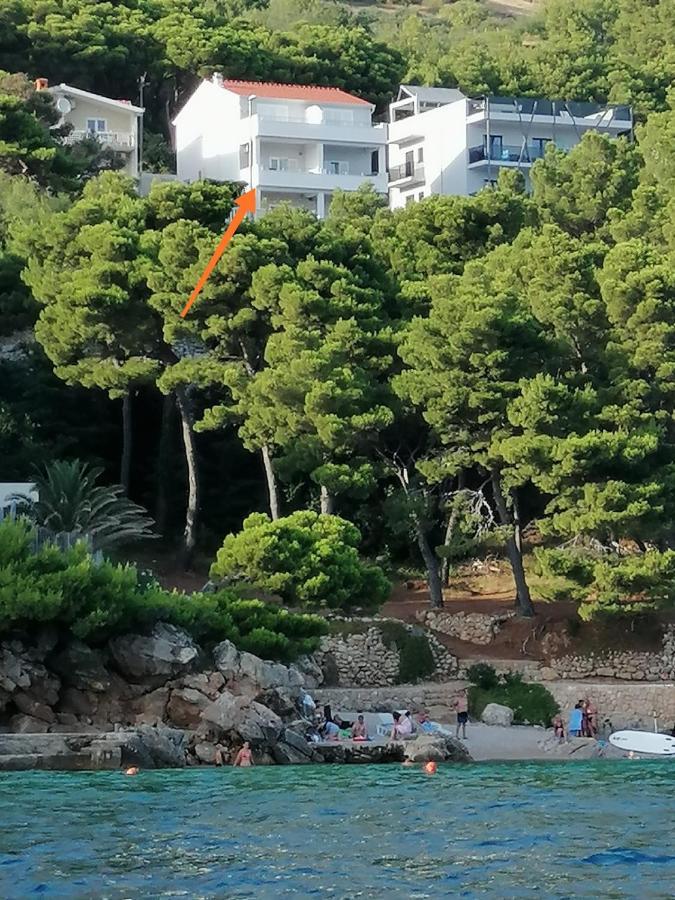Apartmani Perak Mimice Zewnętrze zdjęcie